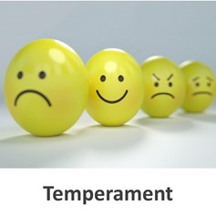 Temperament